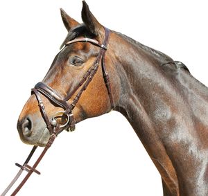 Trense Versailles schwed. RH dunkelbraun VB
