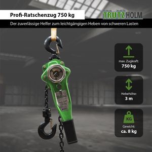 TrutzHolm 0,75t 750Kg/3m Kettenzug Hebezug Ratschenzug Hebelzug Flaschenzug