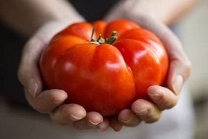 Tomatensamen"Roter saftiger Riese" / 50 Samen / Riesentomate / Gemüsesamen / Selbstversorger