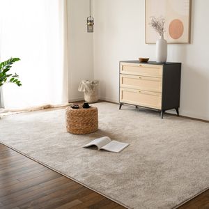 HOME DELUXE - Teppich FOFI - Farbe: Creme, Größe: 300 x 200 cm - Allergikerfreundlich, Floorhöhe: 1,5 cm, 100% Polypropylen Friese I Floorteppich Shaggy Designteppich