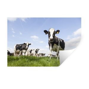 MuchoWow® Wandtattoo Wandsticker Wandaufkleber Kühe - Gras - Tiere - Sonne - Bauernhof 90x60 cm Selbstklebend und Repositionierbar - Aufkleber