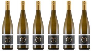 6x Tina Pfaffmann Exklusiv Gelber Muskateller 2.0 2019 – Weingut Tina Pfaffmann, Pfalz – Weißwein