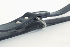 Beeztees Trainingsleine Leder Schwarz 200x1,2 cm 736391