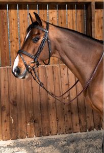 Dyon Working Collection Trense mit kombiniertem Reithalfter Dyon Working Collection Trense mit kombiniertem Reithalfter
