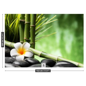 Fototapete 152x104 cm - Vlies-Fototapete - Frangipani-Bambus