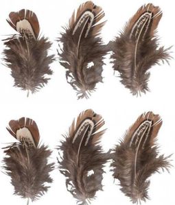 6 dekorative Federn - Braun