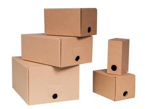 10x Bag-in-Box Karton 1,5L Saftschlauch Weinschlauch