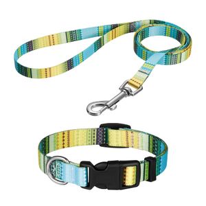 Welpen Halsbänder mit Leine Set,Hundehalsband Verstellbares Weich & Komfort Nylon Hunde Halsband für Kleine Mittlere Hunde Welpen Katzen