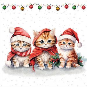 Weihnachten - Servietten 33x33 cm - 3-lagig - 20 Servietten - Funny cute kittens - Kitten mit Weihanchtsmützen