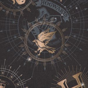 Dekostoff Baumwolle Digitaldruck Lizenz Harry Potter anthrazit 1,40m