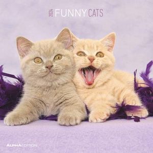 Funny Cats 2024 - Broschürenkalender 30x30 cm (30x60 geöffnet) - Kalender mit Platz für Notizen - Katzen - Bildkalender - Wandplaner - Katzenkalender