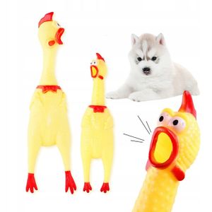 Hundespielzeug, Gummihuhn Spielzeug für Hunde quietschend 16 cm kleine, wasserspielzeug hund, ideal für kleine und mittelgroße bis große Hunde