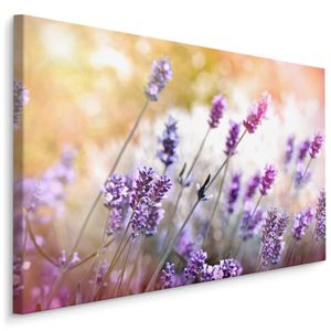 Fabelhafte Canvas LEINWAND BILDER 70x50 cm XXL Kunstdruck Natur Blumen Lavendel Wiese