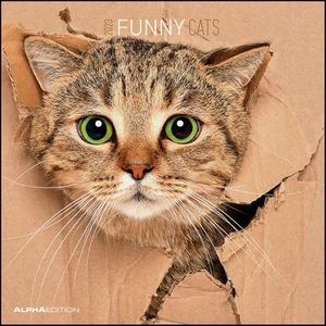 Funny Cats 2023 - Broschürenkalender 30x30 cm