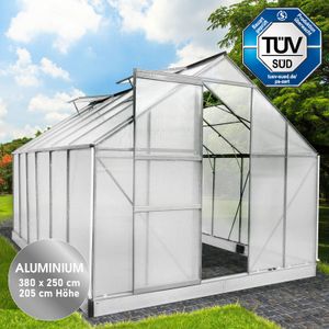 BRAST Gewächshaus Aluminium mit Fundament rostfrei 6mm Platten 380x250x205cm Silber -