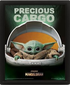 3D obraz Mandaloriana (Precious Cargo)