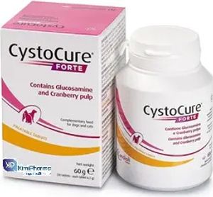 Cystocure Forte 30 Tabletten (Ndr)