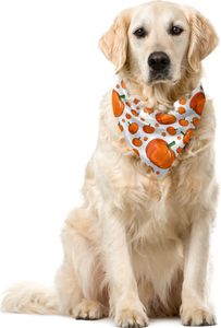 ABAKUHAUS Ernte Haustier Bandana, Halloween Pralle Kürbis, 40x40 cm, Orange Grün Weiß