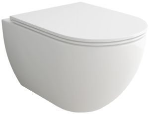 Alpenberger Dusch WC 2IN1 I Toilette mit Bidetfunktion I WC-Sitz mit Soft-Close Funktion I Taharet WC I Wand WC aus Keramik | Hänge WC mit Nanobeschichtung |  Europa