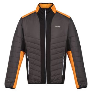 Regatta - "Halton VII" Steppjacke für Herren RG9484 (XL) (Asche/Orangen Pfeffer)