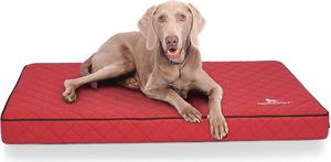 Knuffelwuff Orthopädische Hundematte Juna aus laser-gestepptem Kunstleder XXL 110x66cm Rot
