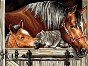 NORIMPEX Malen von Pferden mit einer Katze 40x50 cm 1006803