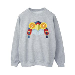 DC Comics - "DC League Of Super-Pets Merton" Sweatshirt für Damen BI16535 (S) (Grau)
