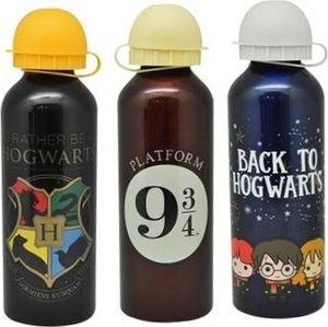 Kids Euroswan | Hliníková fľaša na pitie Harry Potter - 500 ml - Ideálna do školy - Licencovaný produkt