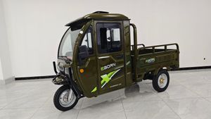 Eborn Cargo Cat 3-S V2 (25 km/h) - Grün