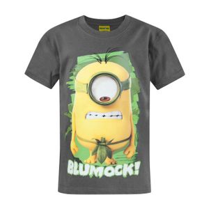 Oficiální dětské tričko Minions Blumock NS4986 (7-8 let (128)) (antracitová)