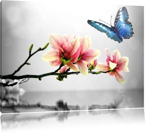 Blauer Schmetterling mit Magnolien-Blüte B&W Detail, Format: 120x80 auf Leinwand, XXL riesige Bilder fertig gerahmt mit Keilrahmen, Kunstdruck auf Wandbild mit Rahmen, er als Gemälde oder Ölbild, kein Poster oder Plakat