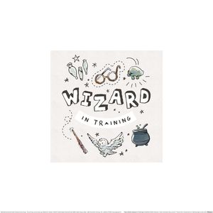 Harry Potter - potlač "Čarodejník v príprave" PM6054 (30 cm x 30 cm) (biela/čierna)