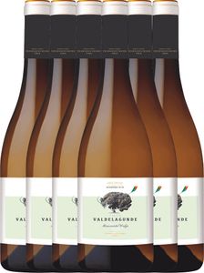 VINELLO 6er Weinpaket - Valdelagunde Cuvée Especial Verdejo 2021 - Pedro Escudero