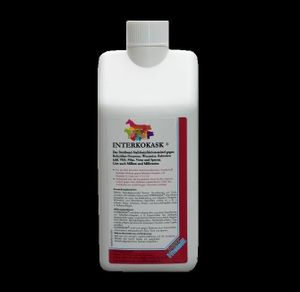 Desinfektionsmittel INTERKOKASK®, 1 l Flasche