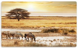 Wallario Frühstücksbrettchen aus Glas, je 14 x 23 cm, mit rutschfesten Füßen, Motiv Safari in Afrika  eine Herde Zebras am Wasser