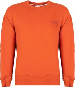 Tommy Hilfiger Sweatshirts DM0DM12373, Größe: 169
