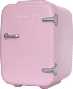 Flamingueo Kühlschrank Klein 4L Funktion Kühlen und Heizen 12V/220V