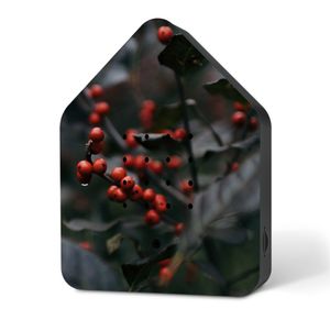Relaxound - Zwitscherbox - Limited Edition - Merry Berries - Vogelgezwitscher - Bewegungsmelder Relaxound - Zwitscherbox - Limited Edition - Merry Berries - Vogelgezwitscher - Bewegungsmelder