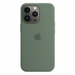 Apple Silikon Case iPhone 13 Pro      gn  mit Magsafe, eukalyptus