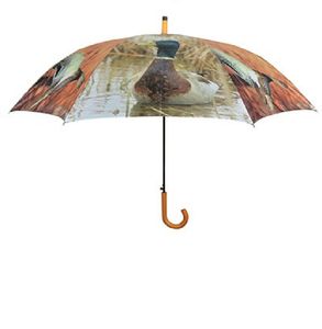 Regenschirm Wildenten mit Holzgriff, Automatikschirm, Stockschirm, Schirm, Tier, Ente