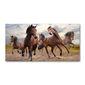 Tulup® Leinwandbild - 140x70 cm - Wandkunst - Drucke auf Leinwand - Leinwanddruck  - Tiere - Braun - Fünf Pferde