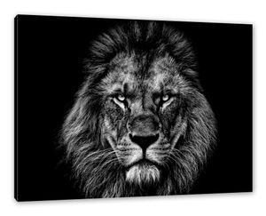 Wandbilder Löwe günstig kaufen online