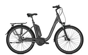 Raleigh Kingston 8 XXL (XL = 60 cm) E-Bike MJ 2021 500 Wh Bosch Active Line Plus 8-Gang Rücktrittnabe
