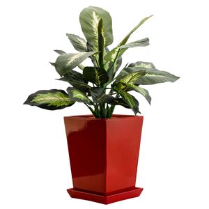 Blumentopf Blumenübertopf Untersetzer Quadrat Maße (LxBxH): 29,5x29,5x34 cm Rot Modern Innenräume Glamour Trapez