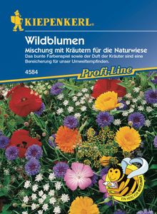 KIEPENKERL® Wildblumen Mischung - Blumensamen