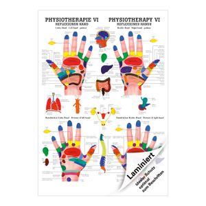 Reflexzonen Hand Poster Anatomie 70x50 cm medizinische Lehrmittel