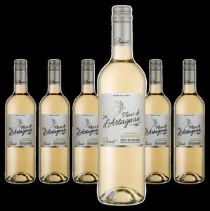 6 x Plaimont Fleur de d'Artagnan Colombard - Sauvignon Blanc Côtes de Gascogne