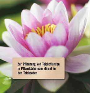 Teicherde FloraSelf 20 L