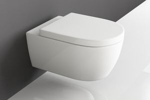 Aqua Bagno Spülrandlose Toilette Wand-WC Inkl. abnehmbaren Sitz mit Softclose Absenkautomatik  545 x 360 x 330 mm