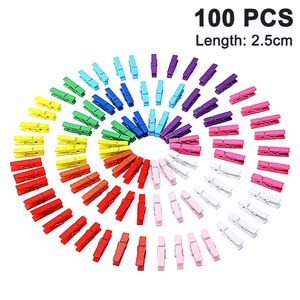 100 STK Holzwäscheklammer Farbig Wäscheklammer Klammern für Fotopapier Kleiderroller